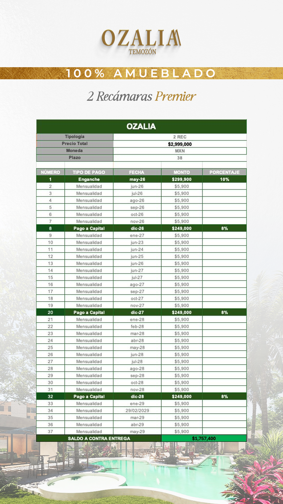 Financiamiento Ozalia