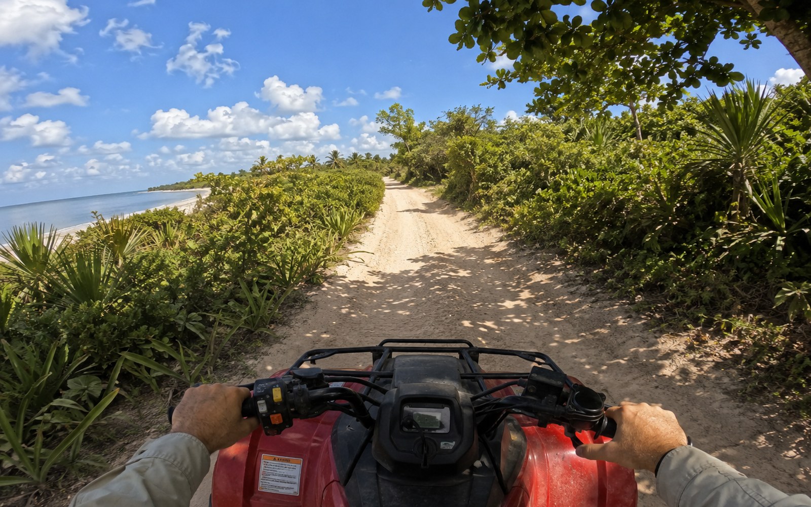 Coastal Adventure